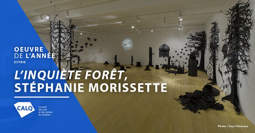 L'inquiète forêt de Stéphanie Morissette, Prix du CALQ Oeuvre de l'année 2017 en Estrie